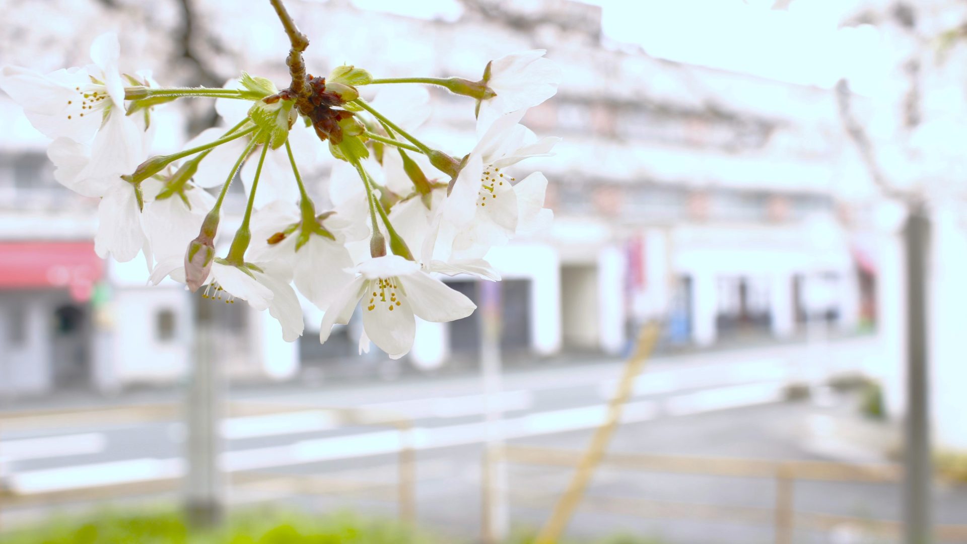 SOプランナー(株)_店舗外観