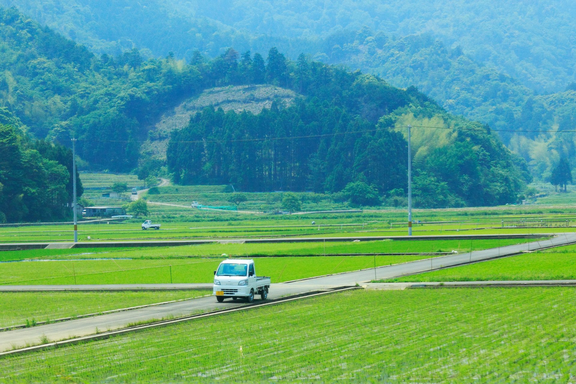 農地の活用・転用ってどうやるの?手続きと注意点をわかりやすく解説